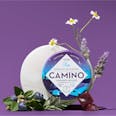 Camino Midnight Blueberry 5:1mg THC:CBN Gummies