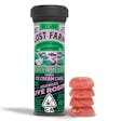 Watermelon (I) Lost Farm Live Rosin Fruit Gummies - Watermelon (Ice Cream Cake)