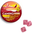 Raspberry Lemonade Gummies - Camino Sours - Raspberry Lemonade (I)