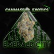 Emerald Elite - 1/8oz - Pineapple Fruz - (Cannasieur Exotics)