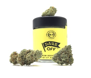 NF1 8th Jar *Smalls*