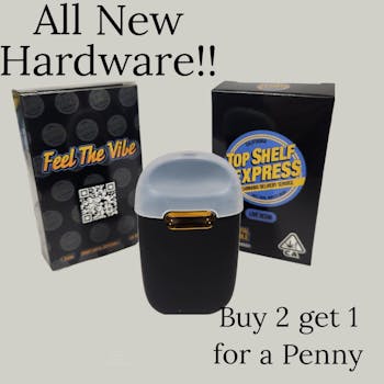 ^TSE Blueberry Pie All-in-One (1g) - 1g